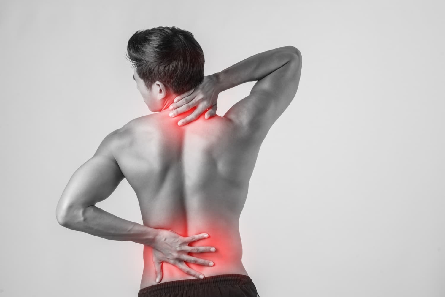 Orthopedics